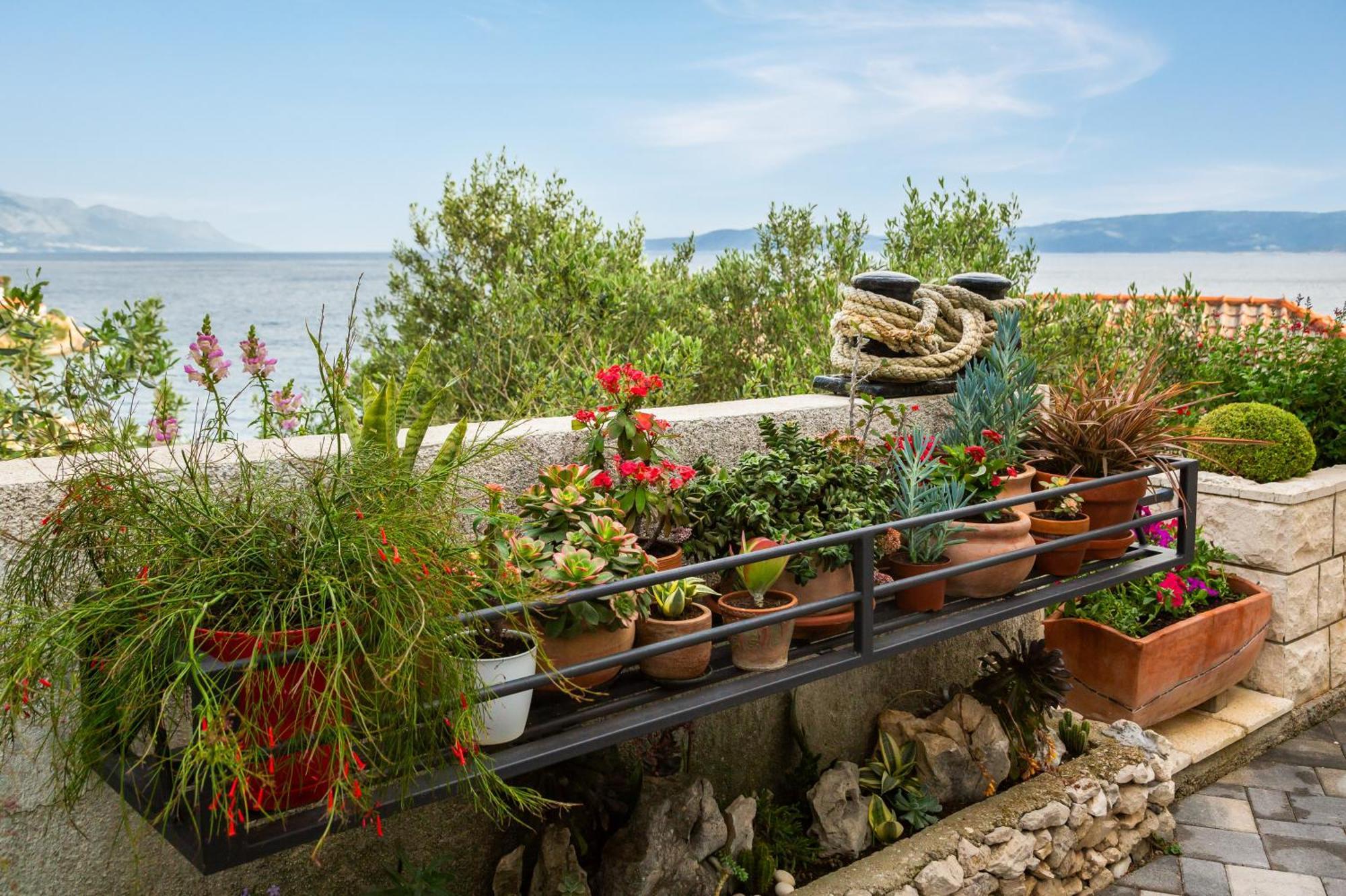 Seaside Apartment Kamelia Mimice Esterno foto